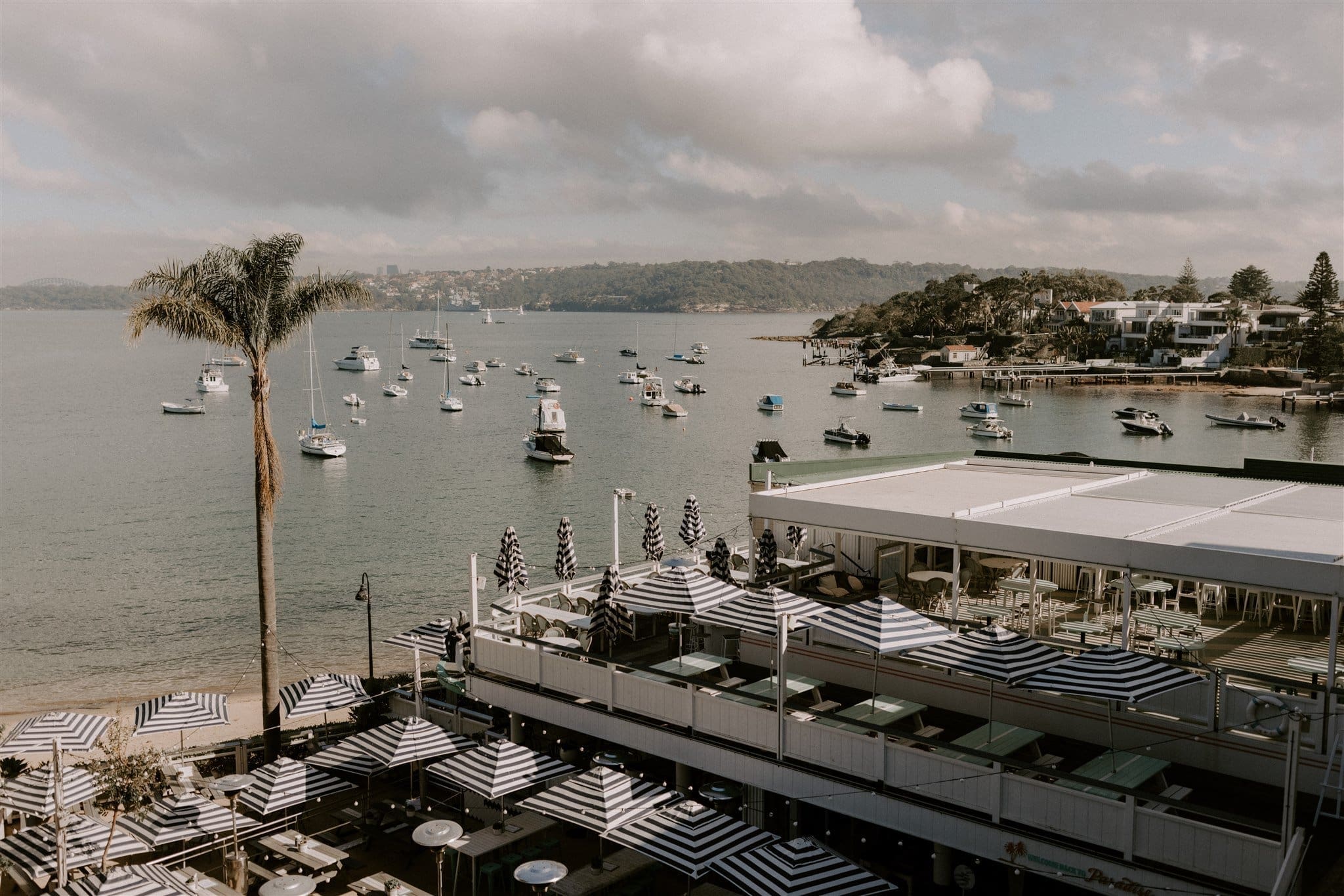 Desiree & Davis Wedding Desiree & Davis Wedding