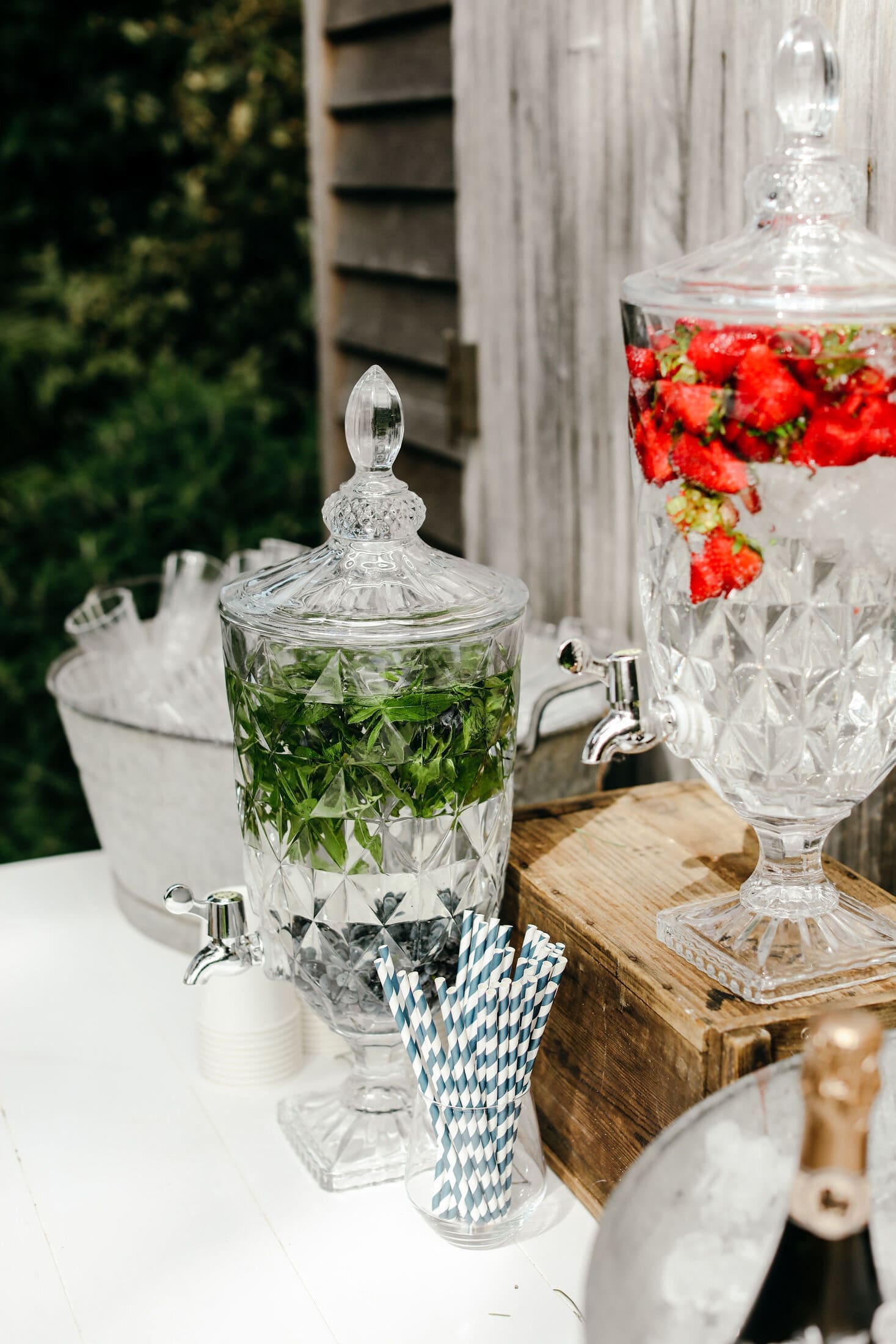 Bible Gardens Bible Gardens