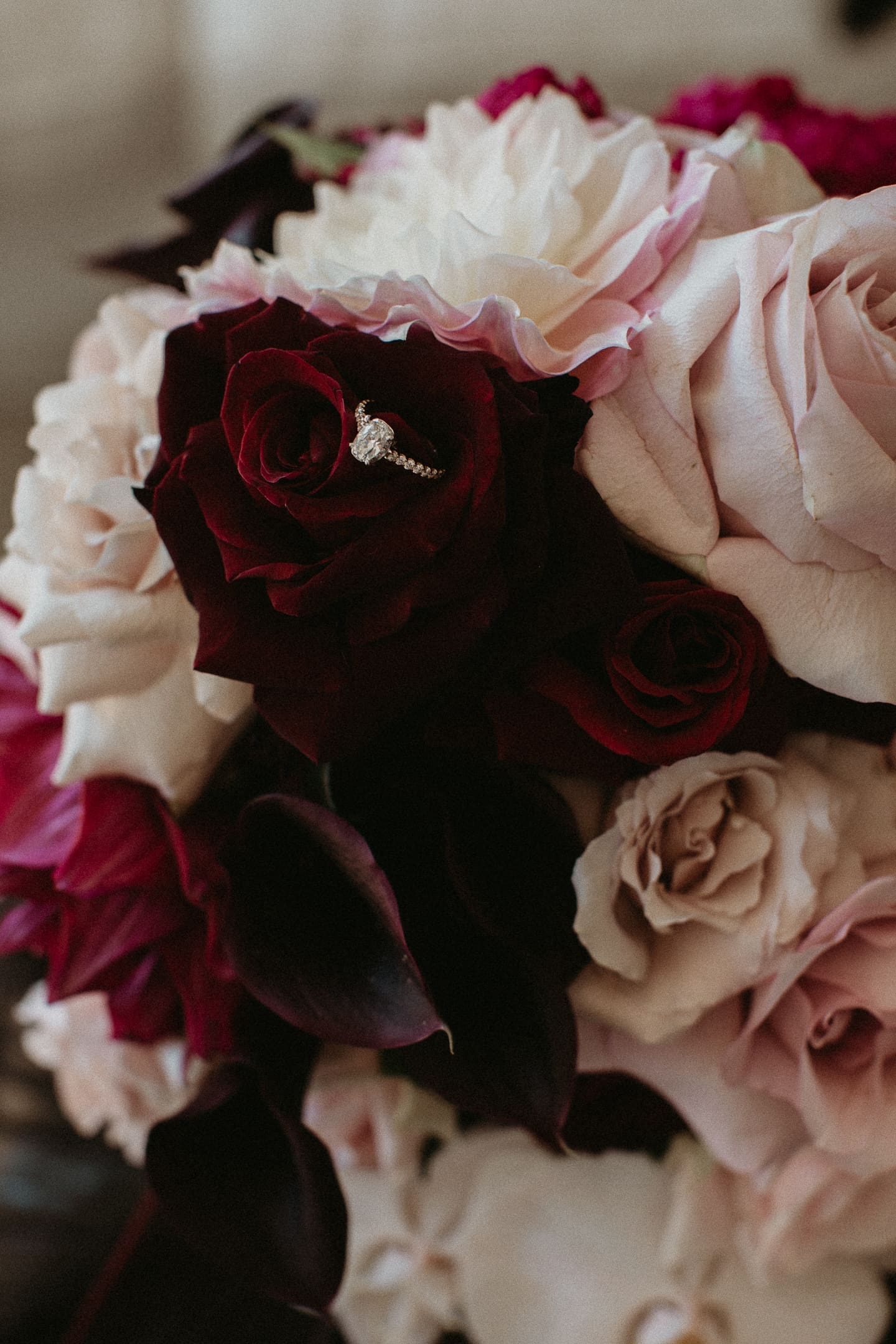 Tara & Christian's Wedding Tara & Christian's Wedding