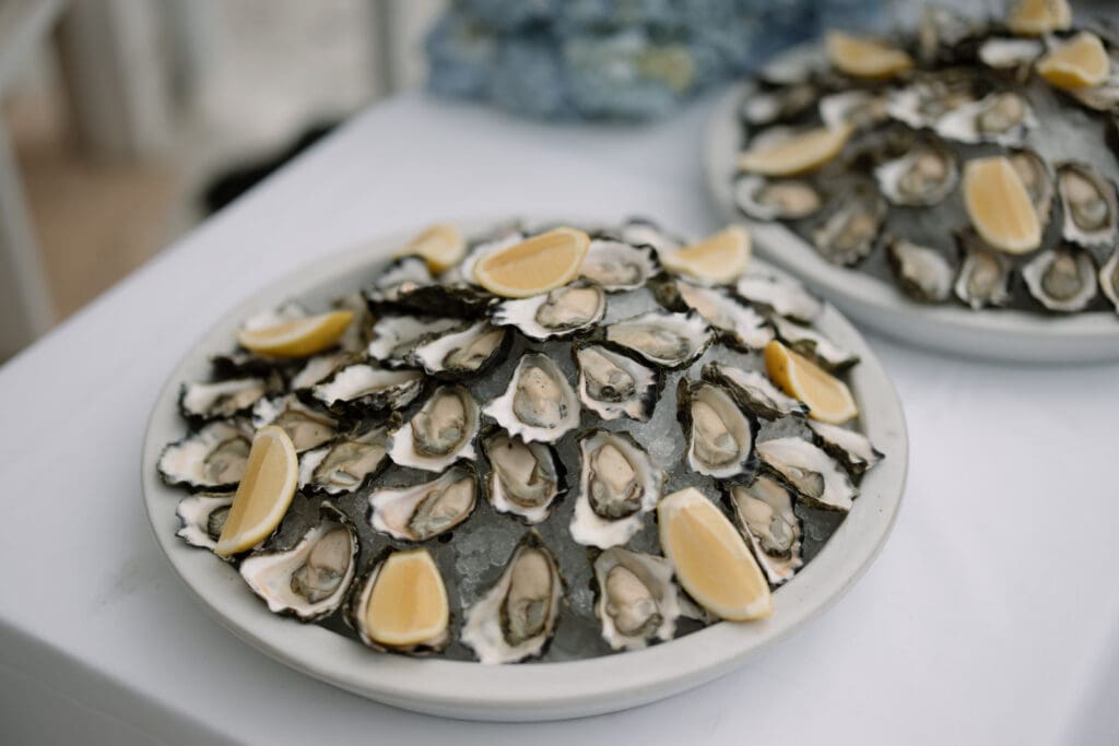 Joscelin & Dillon Hire Collection